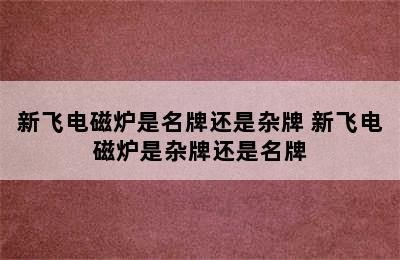 新飞电磁炉是名牌还是杂牌 新飞电磁炉是杂牌还是名牌